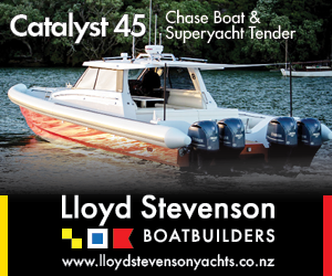 Lloyd Stevenson Catalyst 45 300x250px3