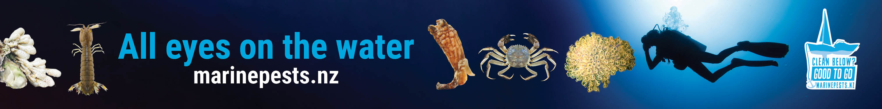 Clean Below - All Eyes 1456x180 BOTTOM