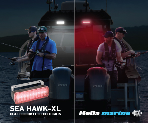 Hella Dual Colour Floodlights - 300x250px - 1 jpg