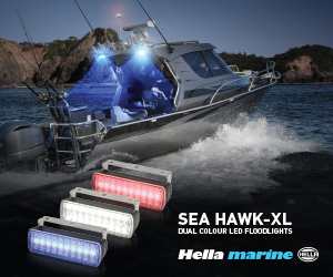 Hella Dual Colour Floodlights - 300x250px - 4 jpg