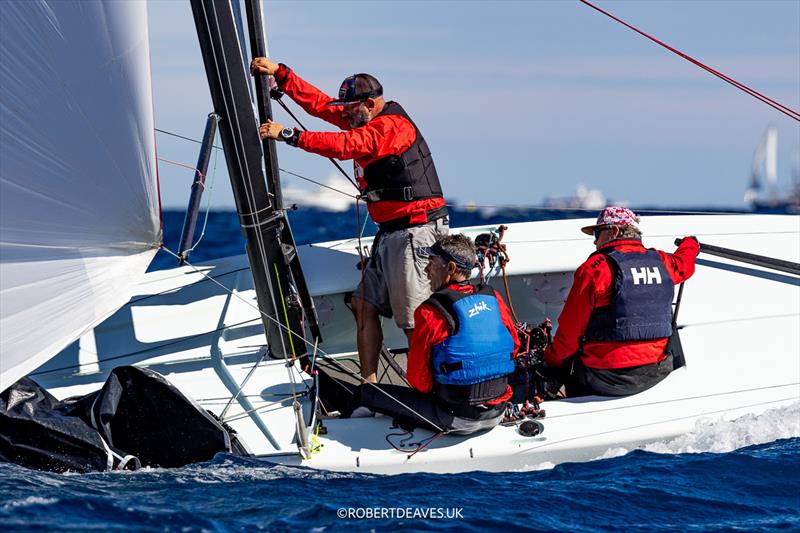 Otto - 2025 5.5 Metre French Open - photo © Robert Deaves / www.robertdeaves.uk