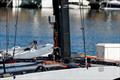 © Ugo Fonolla / America's Cup