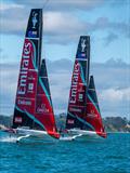 Emirates Team NZ - two boat training - Auckland - November 20, 2025