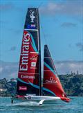 Emirates Team NZ - two boat training - Auckland - November 20, 2025