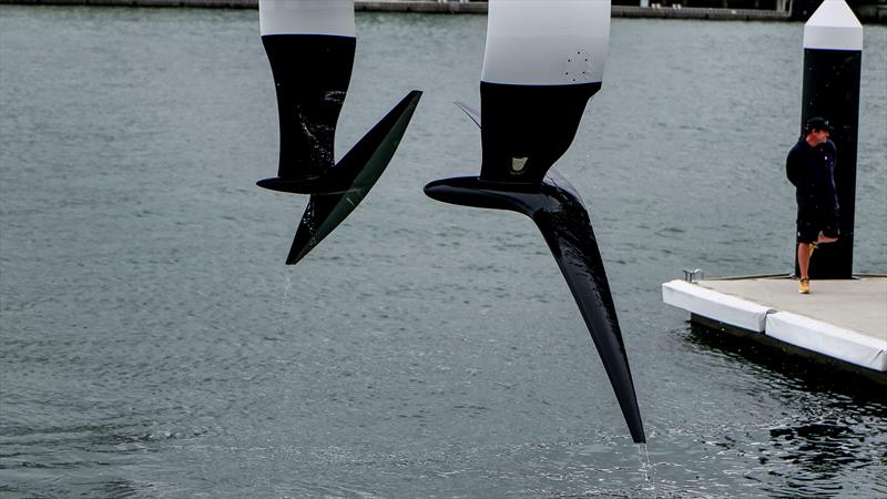 Emirates Team New Zealand - AC40 - Waitemata Harbour - Auckland - November 17, 2022 photo copyright Adam Mustill / America's Cup taken at Royal New Zealand Yacht Squadron and featuring the AC40 class