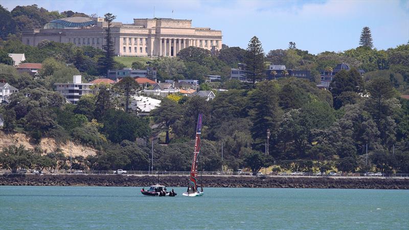 Emirates Team New Zealand - AC40 - Day 41 - Auckland - November 13, 2023 photo copyright Sam Thom/America's Cup taken at Royal New Zealand Yacht Squadron and featuring the AC40 class