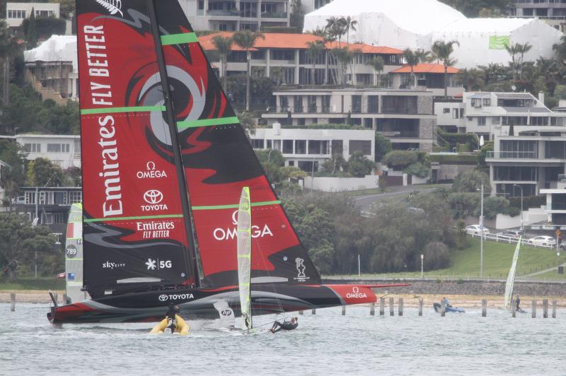 Emirates Team New Zealand gets amongst the 49ers ahead of the 2019 Hyundai World Championship - Waitemata Harbour - November 19, 2019 - photo © Richard Gladwell / Sail-World.com