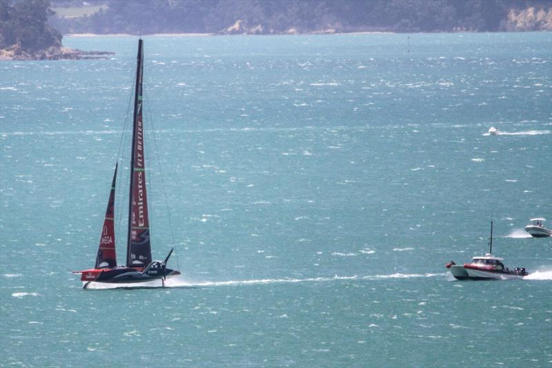 Plenty of sheep in The Paddock - Emirates Team New Zealand - Waitemata Harbour - November 22, 2019 photo copyright Richard Gladwell / Sail-World.com taken at Royal New Zealand Yacht Squadron and featuring the AC75 class