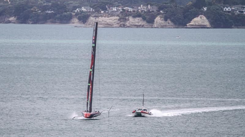 Emirates Team New Zealand in The Paddock - January 8, 2020 photo copyright Richard Gladwell / Sail-World.com taken at Royal New Zealand Yacht Squadron and featuring the AC75 class