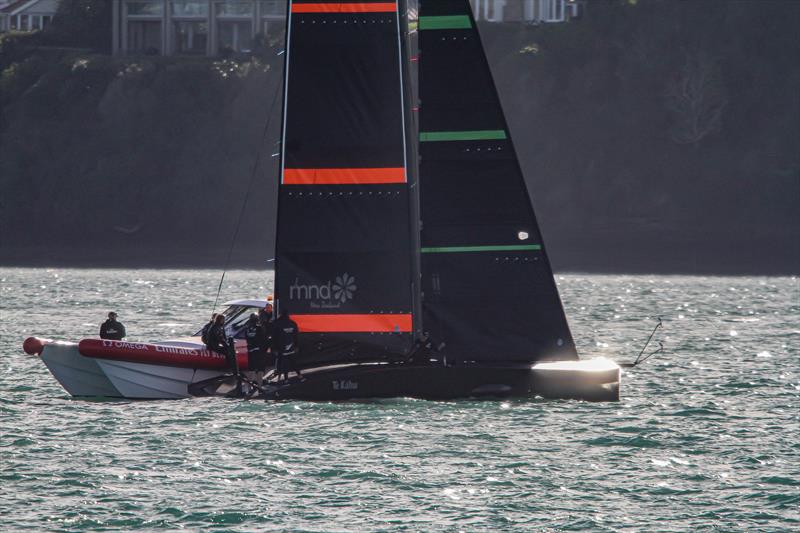 Emirates Team NZ's Test boat - Te Kahu - Waitemata Harbour, June 2020 photo copyright Richard Gladwell / Sail-World.com taken at Royal New Zealand Yacht Squadron and featuring the AC75 class