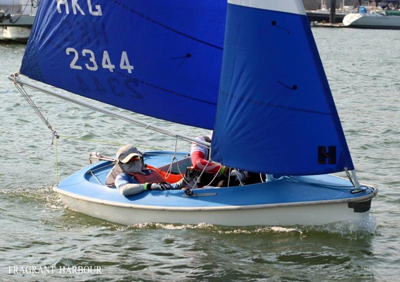 Sailability team - 24 Hour Charity Dinghy Race photo copyright Fragrant Harbour taken at Hebe Haven Yacht Club and featuring the Hansa class