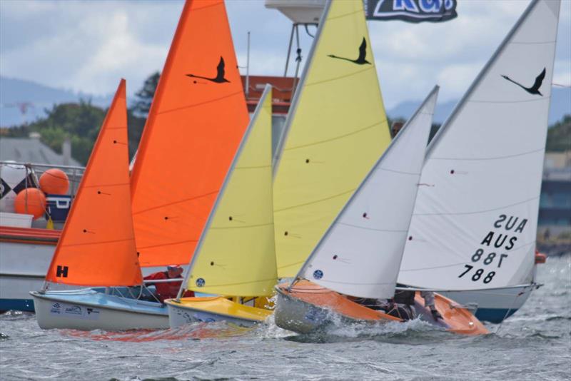 Anticipation builds for the Hansa Worlds photo copyright RPAYC taken at Royal Prince Alfred Yacht Club and featuring the Hansa class
