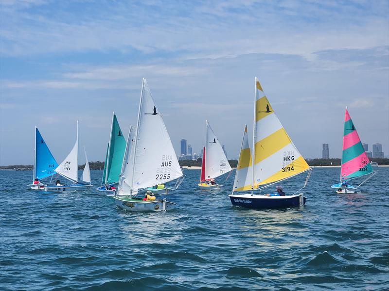 Anticipation builds for the Hansa Worlds photo copyright RPAYC taken at Royal Prince Alfred Yacht Club and featuring the Hansa class