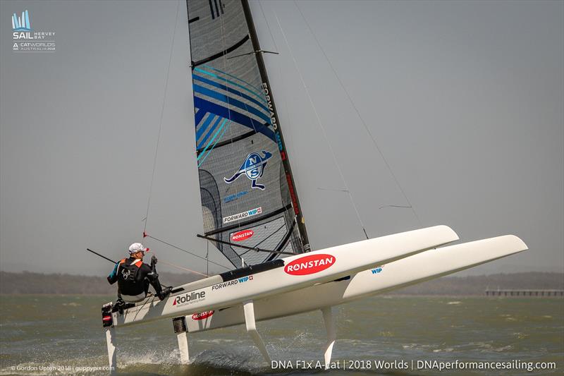 A Cat Worlds America S Cup Champion Wins 10th World Title