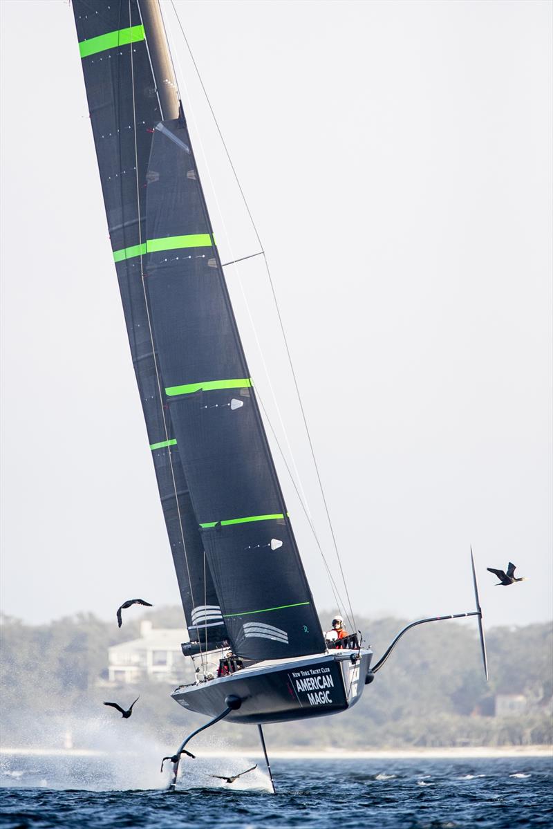 NYYC American Magic - Pensacola, Florida - February 2019 photo copyright Amory Ross taken at New York Yacht Club and featuring the ACC class