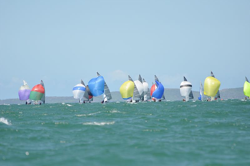 Sharpies racing in at last year's nationals in Yeppoon photo copyright Lou Holli taken at Adelaide Sailing Club and featuring the Australian Sharpie class