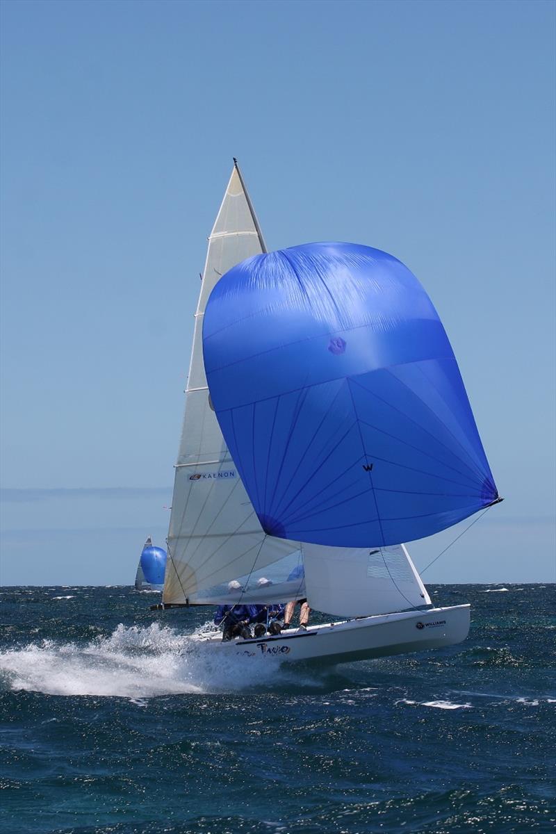 Australian Sharpie One Hump or Two photo copyright Greg Pratt taken at Bellerive Yacht Club and featuring the Australian Sharpie class