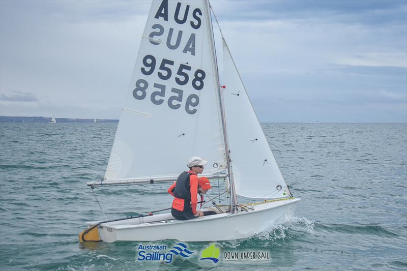 Thomas Gordon in KAOS was the winner in the International Cadet fleet - 2019 South Australian Youth Championships photo copyright Harry Fisher taken at Adelaide Sailing Club and featuring the Cadet class