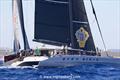 Maxi Yacht Rolex Cup 2023