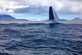 Leopard 46 Sailing cat
