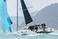 Cut Snake wasn't so mad after all - she won - 74 Islands Distillery Airlie Beach Race Week