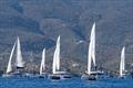 Catamarans Cup