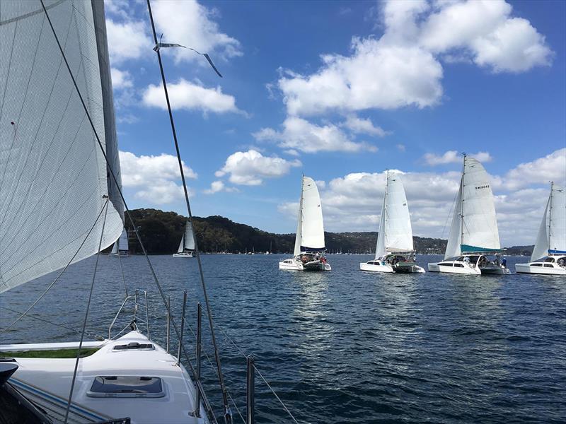2018 Seawind Regatta  photo copyright Multihull Central taken at  and featuring the Catamaran class