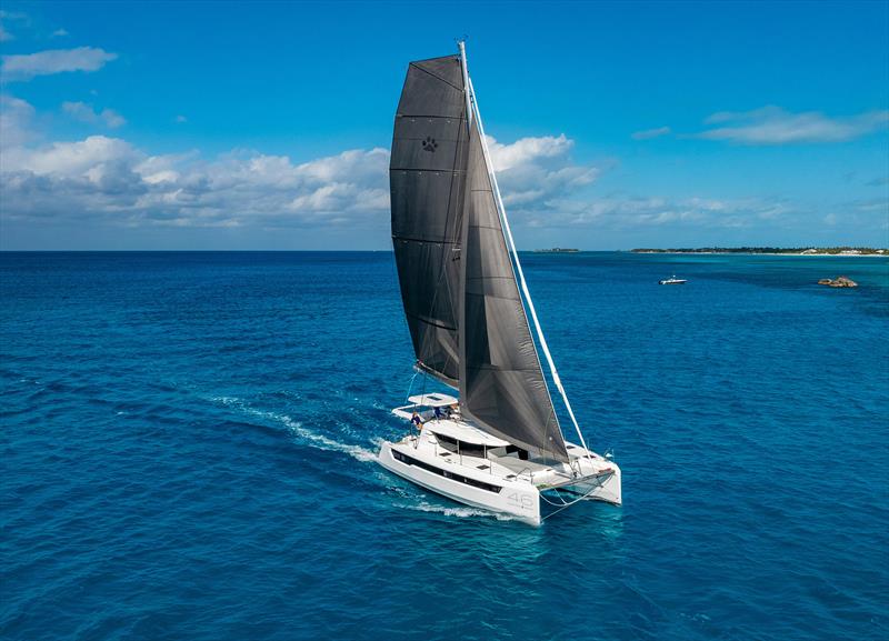 Leopard 46