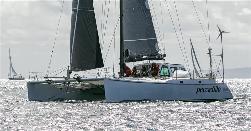 Multihull, Peccadillo