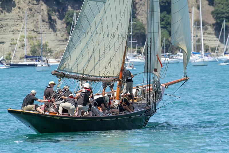 Waitangi - Mahurangi Regatta - Mahurangi Harbour - January 2020 photo copyright Richard Gladwell / Sail-World.com taken at  and featuring the Classic Yachts class