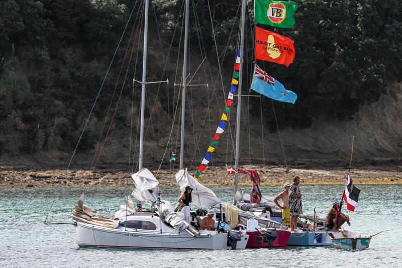 Pied Pipers emerge - Pre-race - Mahurangi Regatta - January 29, 2022 photo copyright Richard Gladwell - Sail-World.com/nz taken at  and featuring the Classic Yachts class