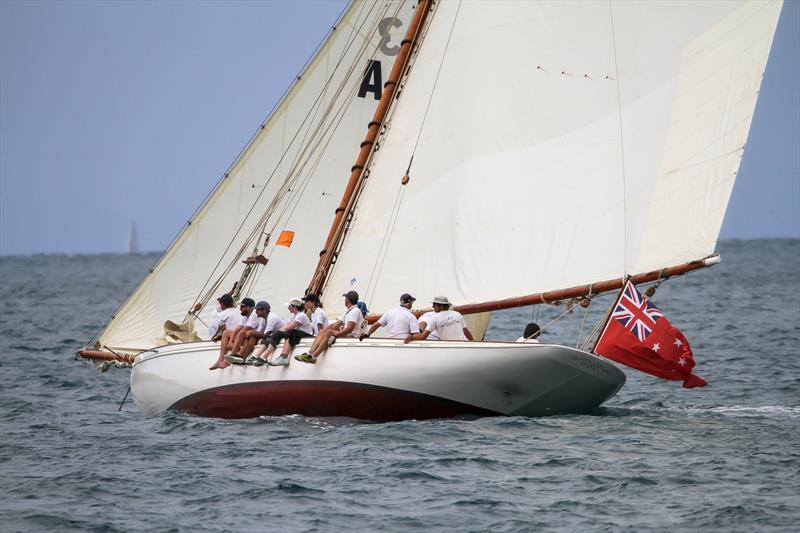 Ariki - (Logan 1904) - Mahurangi Regatta - January 29, 2022 photo copyright Richard Gladwell - Sail-World.com/nz taken at  and featuring the Classic Yachts class