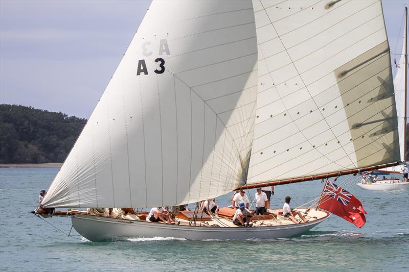 Ariki - (Logan 1904) - Mahurangi Regatta - January 29, 2022 photo copyright Richard Gladwell - Sail-World.com/nz taken at  and featuring the Classic Yachts class