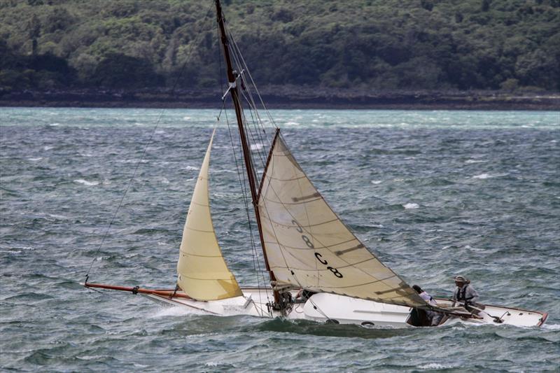 Auckland Anniversary Regatta - January 31, 2022 - photo © Richard Gladwell / Sail-World.com