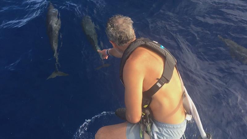 Michiel spots a couple of dolphins - photo © Clipper Race