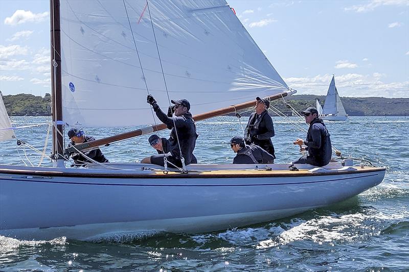 Sydney Couta Boat Week - Bella on Sydney Harbour photo copyright Couta Boat Association taken at Sorrento Sailing Couta Boat Club and featuring the Couta Boat class