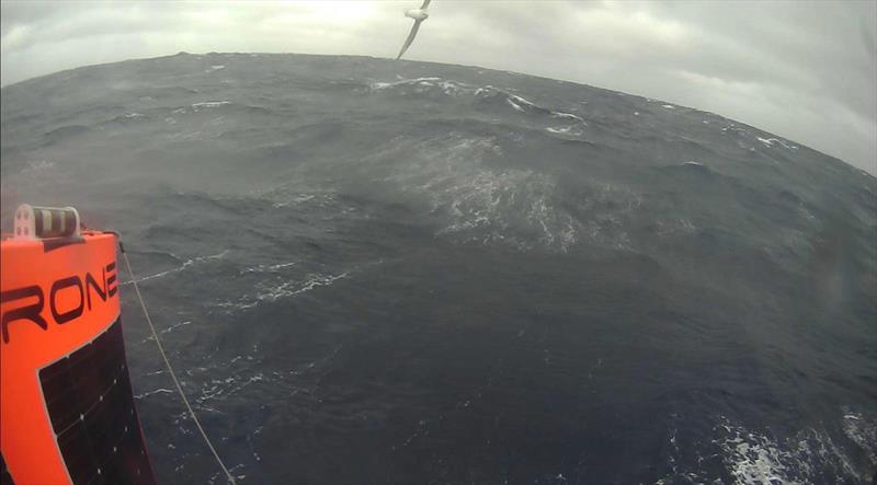 Occasionally, the saildrone onboard cameras capture images of the local wildlife. This bird is assumed to be some type of albatross photo copyright Saildrone taken at  and featuring the Cruising Yacht class