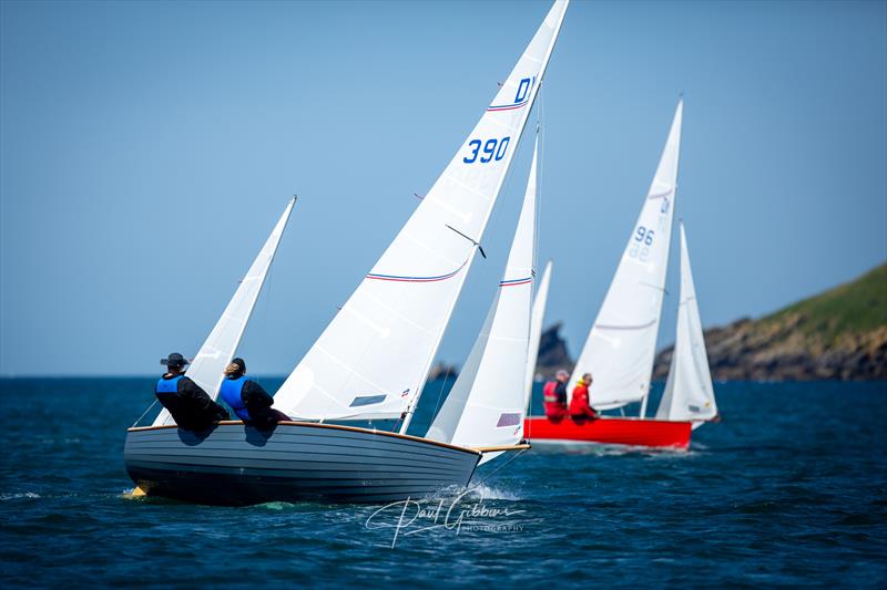 Devon Yawl Nationals 2023 - photo © Paul Gibbins Photography