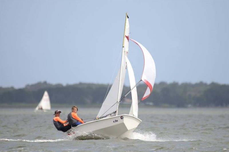 Manly Junior 50th National Titles photo copyright Port Kembla Sailing Club taken at Port Kembla Sailing Club and featuring the Dinghy class