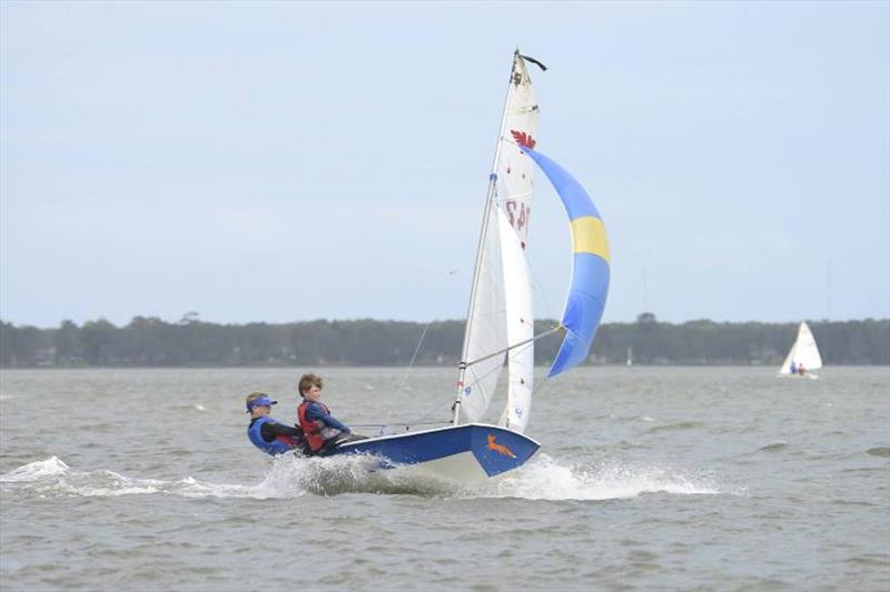 Manly Junior 50th National Titles photo copyright Port Kembla Sailing Club taken at Port Kembla Sailing Club and featuring the Dinghy class