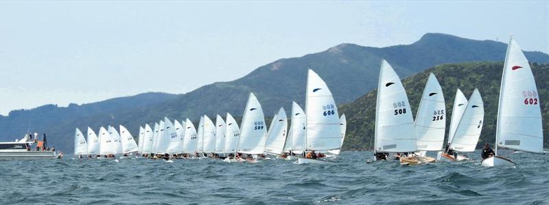 The Zephyr fleet at Queen Charlotte YC photo copyright Queen Charlotte Yacht Club taken at Queen Charlotte Yacht Club and featuring the Dinghy class