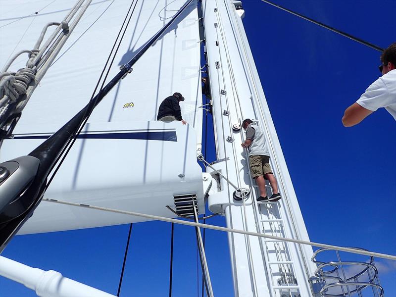 Doyle Sails provide sails for all sizes of yacht - from Optimists to M5 (pictured) the largest singlemasted yacht in the world photo copyright Doyle Sails taken at Royal Akarana Yacht Club and featuring the  class