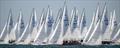 International Dragon Gold Cup at Royal Torbay Yacht Club © British Dragon Association
