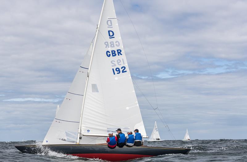 Bluebottle photo copyright Tom Körber taken at  and featuring the Dragon class