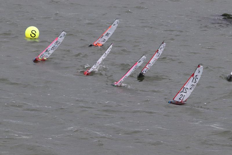 MYA RG65 Nationals 2023 at West Kirby - photo © Alan Watkinson