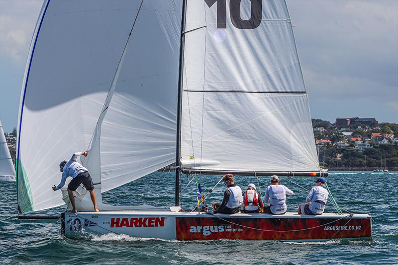 Jordan Stevenson (NZL) photo copyright Andrew Delves taken at Royal New Zealand Yacht Squadron and featuring the Elliott 6m class