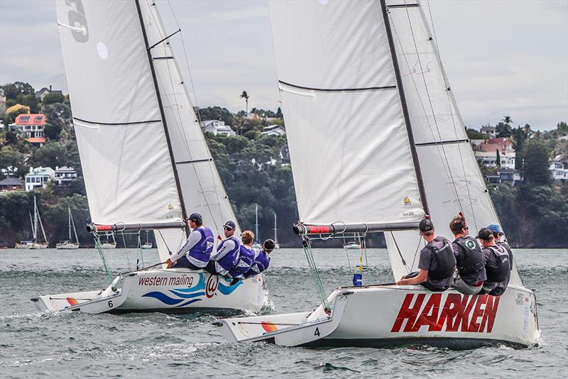 Egnot-Johnson vs Hodgson photo copyright Andrew Delves taken at Royal New Zealand Yacht Squadron and featuring the Elliott 6m class