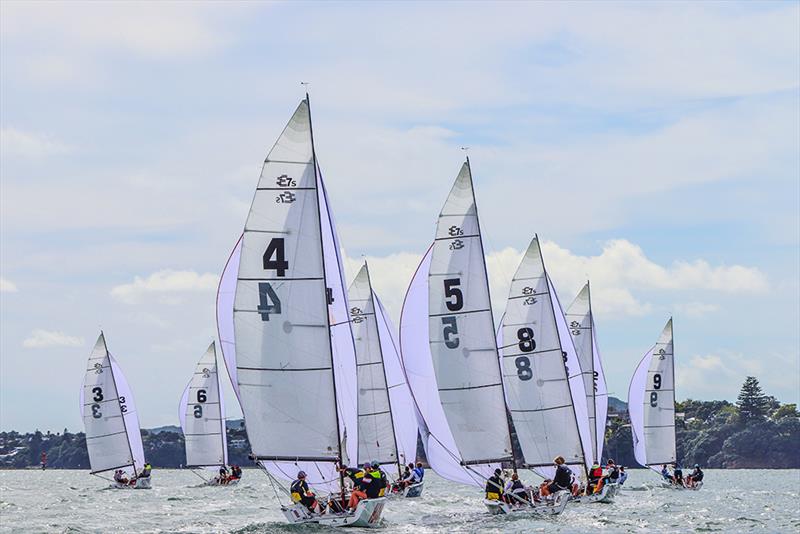 Harken National Secondary School Keelboat Championships 2019  photo copyright Andrew Delves taken at Royal New Zealand Yacht Squadron and featuring the Elliott 6m class