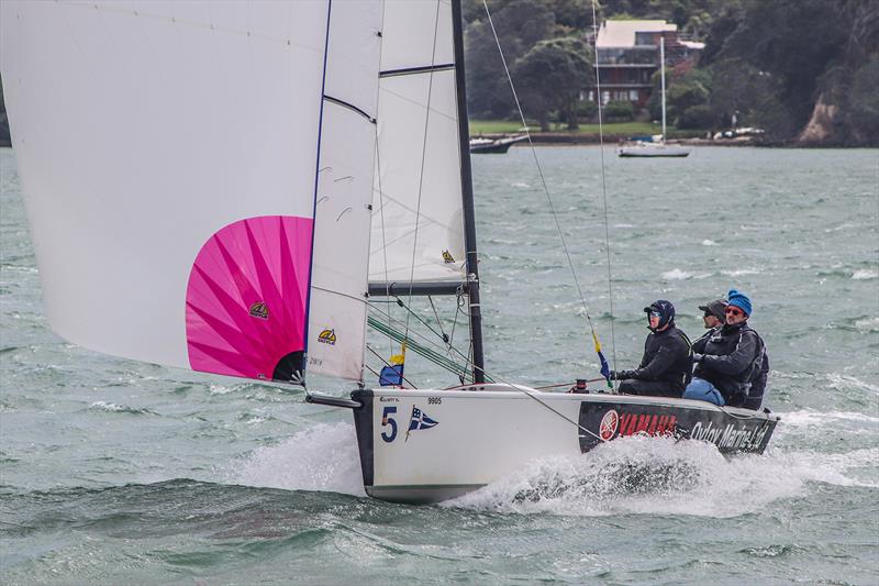 Graeme Sutherland - Yachting Developments NZ Match Racing Championships, October 2020 photo copyright Andrew Delves taken at Royal New Zealand Yacht Squadron and featuring the Elliott 6m class