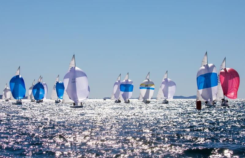 Etchells Australasian Championship 2021 downwind run. - photo © Nic Douglass @sailorgirlhq